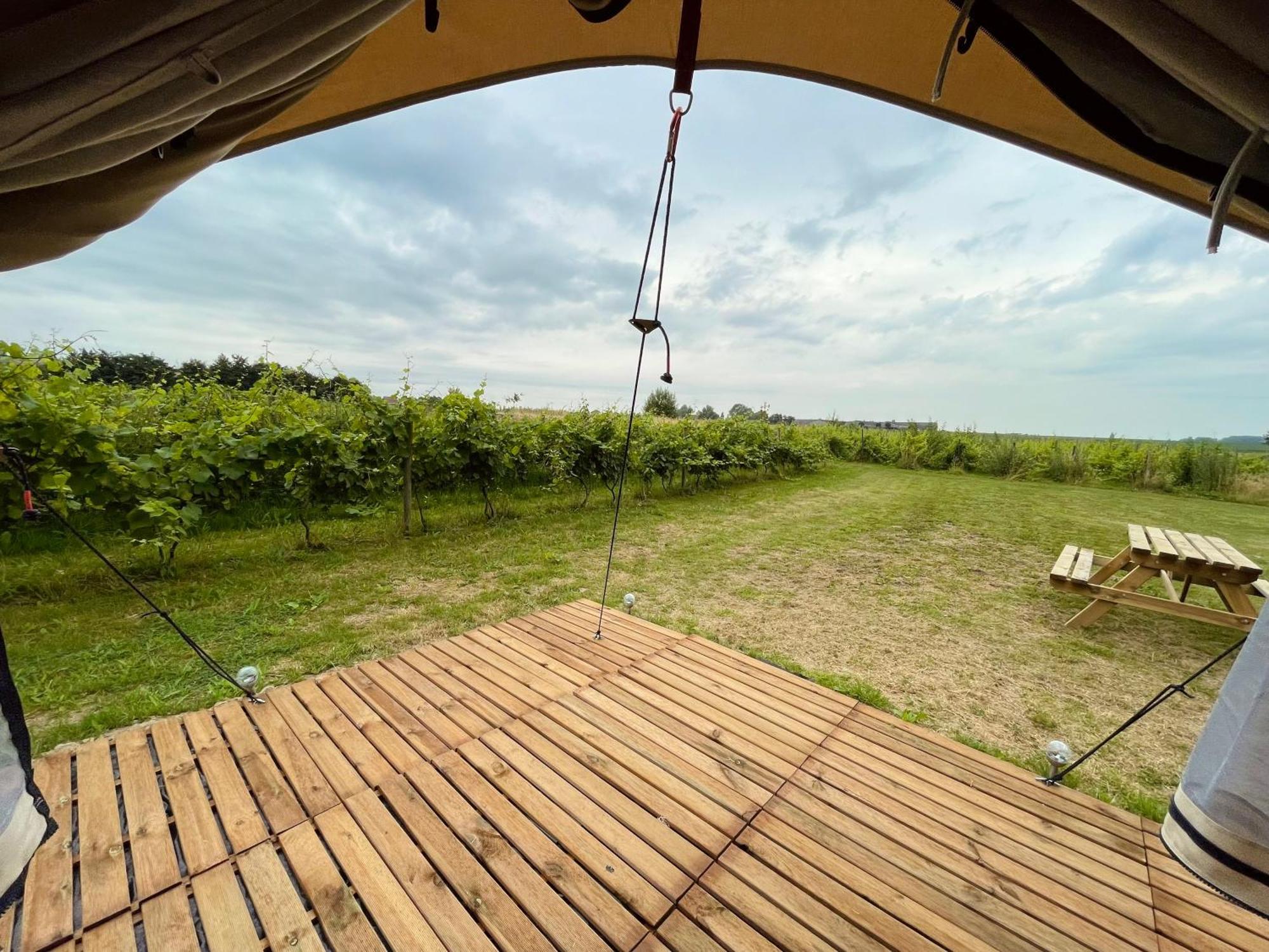 B&B 'T Zwaluwnest Heuvelland Oda fotoğraf